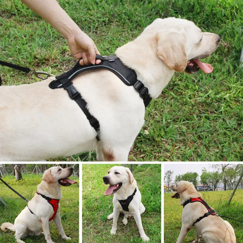 

Pet Dog Harness Adjustable Reflective Puppy Lead Dog Vest Dog Leads Accessories Chihuahua