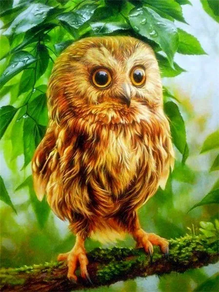 

Full Diamond Embroidery Complete Kit Animal Diamond Painting Owl New Arrivals Picture Home Decoration Birthday Present