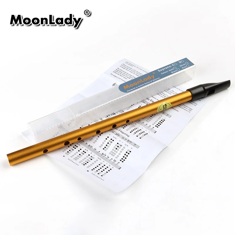 Metal Flute 6 Holes D Key Flute Irish Whistle Musical Instrument Penny Whistle Aluminum Alloy with all Accessories