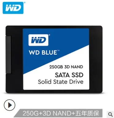 West Data (WD) Blue Series 250GB SSD Solid State Hard Disk
