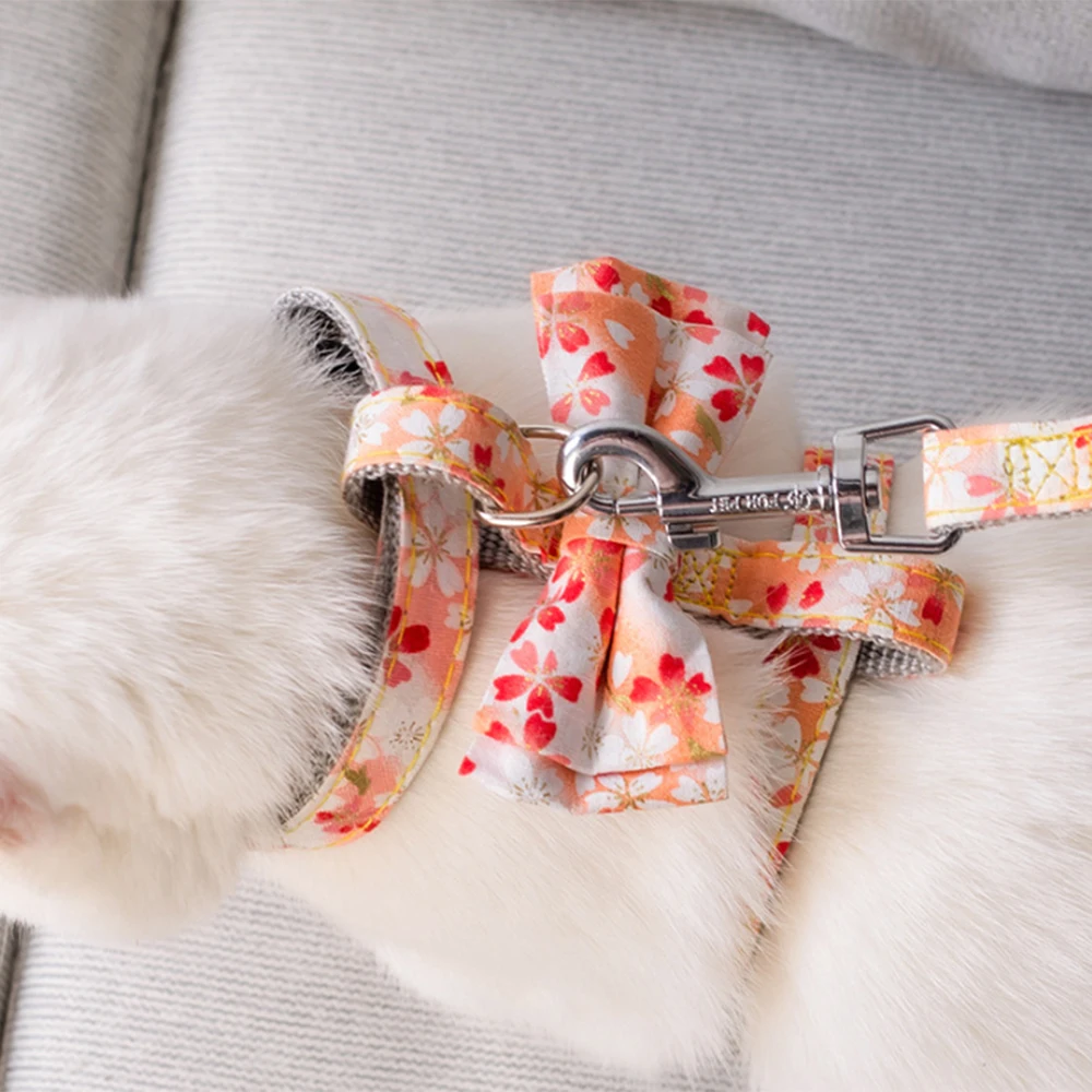 Adjustable Pet Cat Collar Leads Leash Cat Butterfly Leash Lead Harnesses Belt Traction Rope Pet Supplies