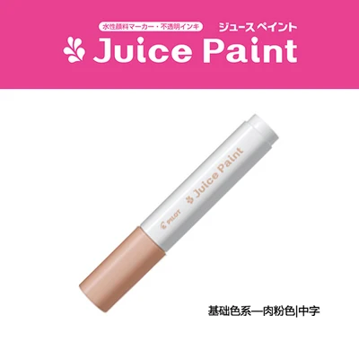Flesh pink Пилот Маркеры Ручка сок краски SJP-20M 2 шт Baiguole волокна с цветным рисунком ручка M Tsui ручка маркер - Цвет: Flesh pink