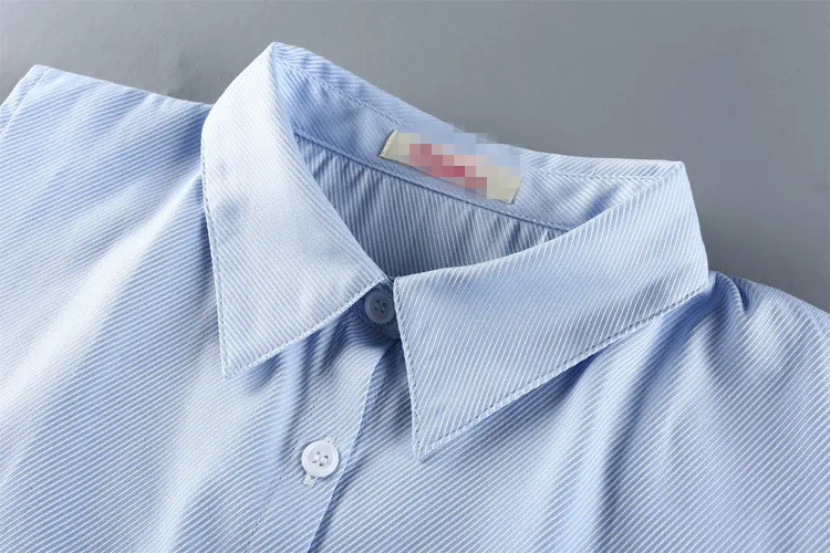 7573762647_247331357