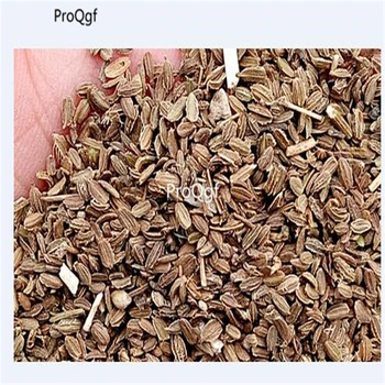 

Ngryise 5000Pcs A Set Daucus carota