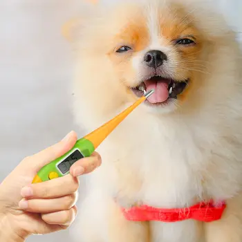 

1PC Professional Practical Animal Thermometer for Dogs Pets