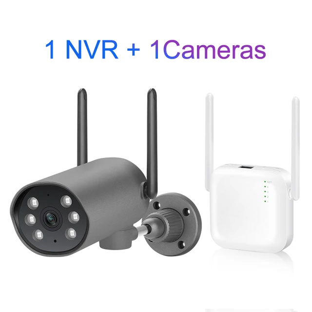 1 NVR No Card 1 CAM