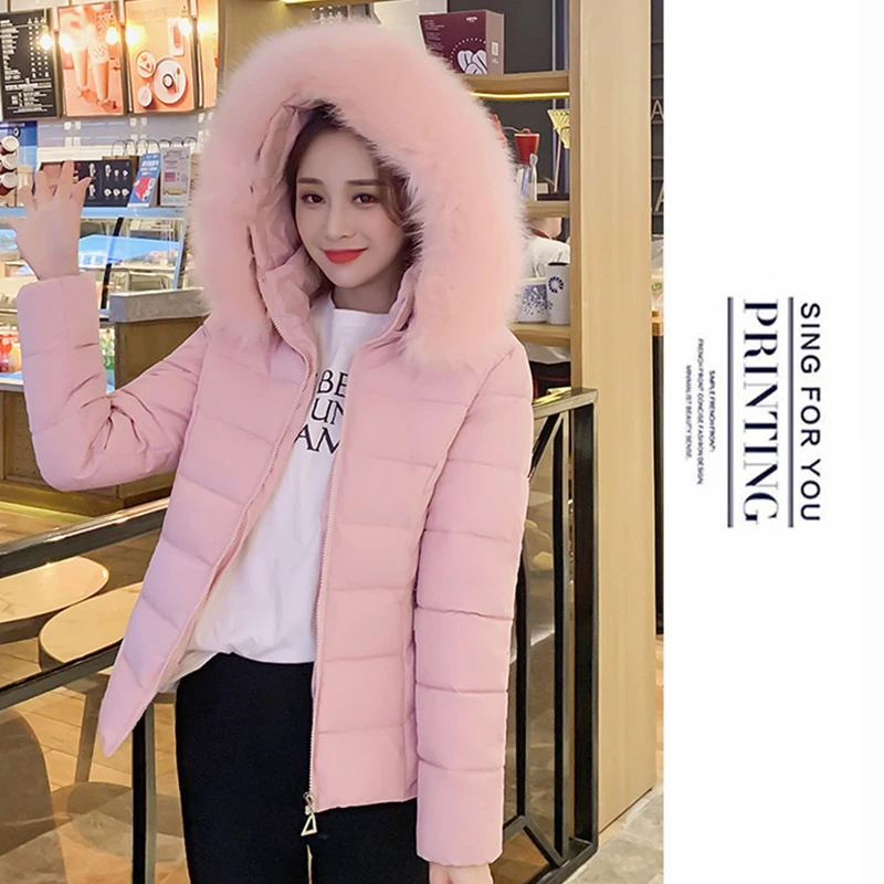 17958380160_802501495