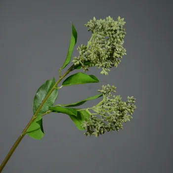 

Model Green Plant Flower Arrangement with Wood Model Plastic Artificial Flower Soft Silcone Fruit Peas Fruit Clove Beans Branch