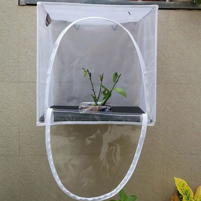 Dupla Cipzár Rovar Ketrec Terrárium Kritter Megfigyelő Doboz Hernyóház Rovarháló Pillangó Élőhely - Image 4