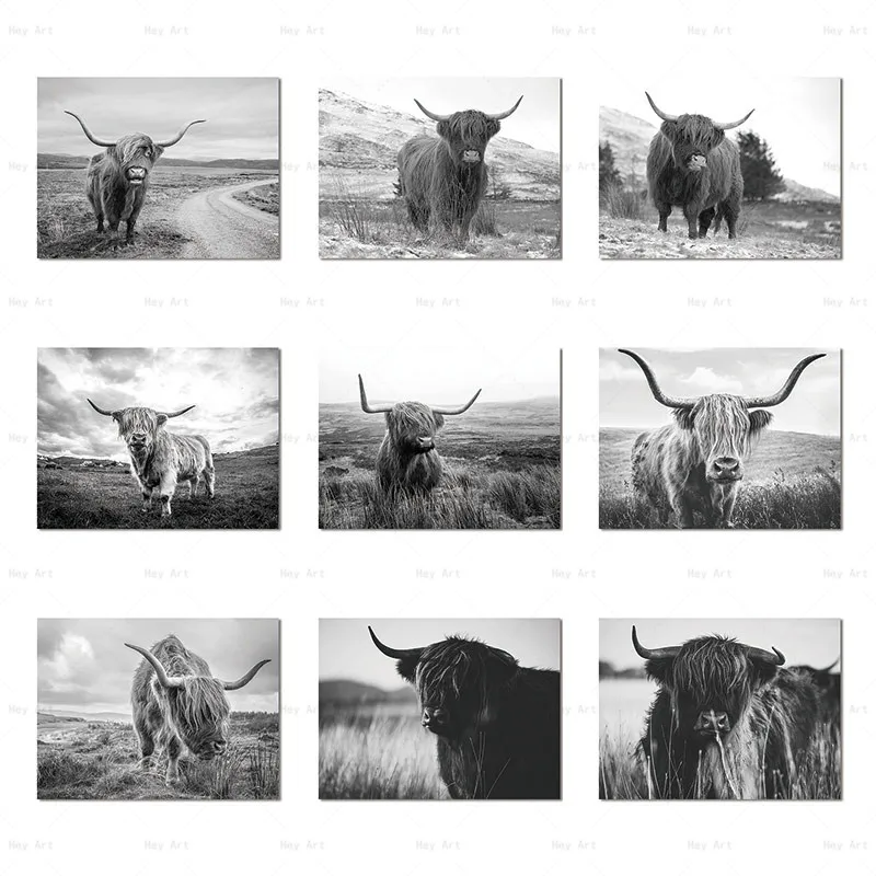 Картина на холсте современная картина искусство стену Highland Cow черный белый