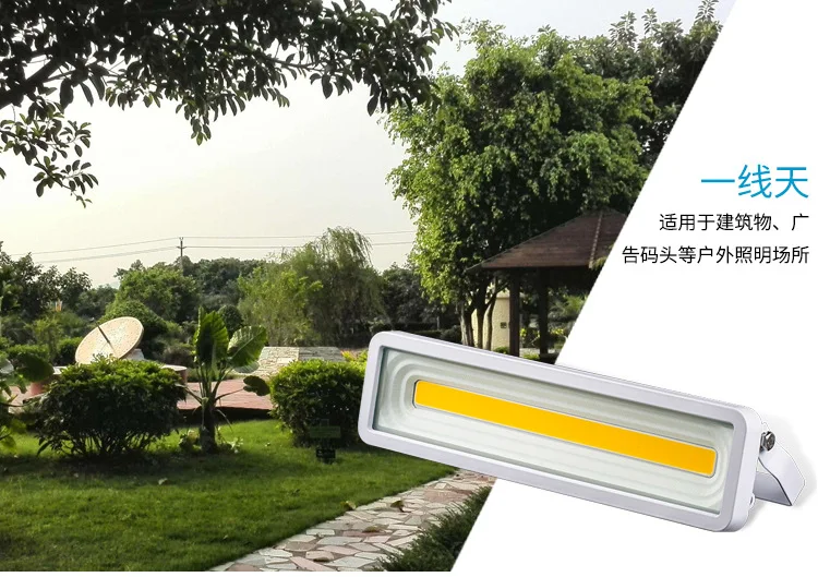 9136358410_587570030