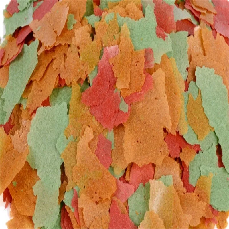 QQ图片20190909125339