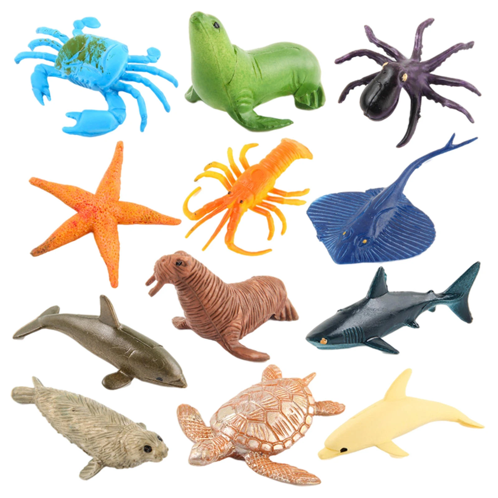 12Piece Marine Life Model Tiny Lifelike Small Size for School  Collection|Biology| - AliExpress