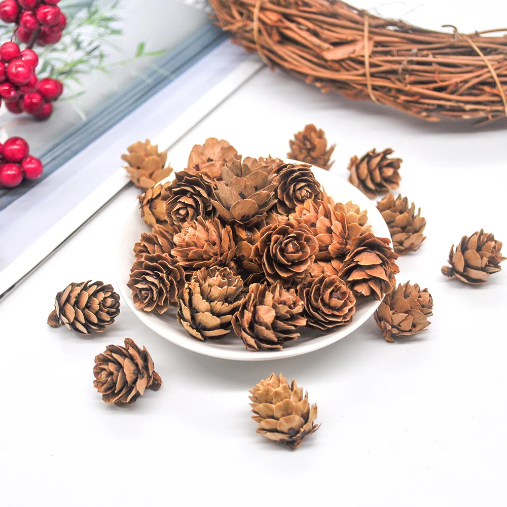 Pinecone (3)