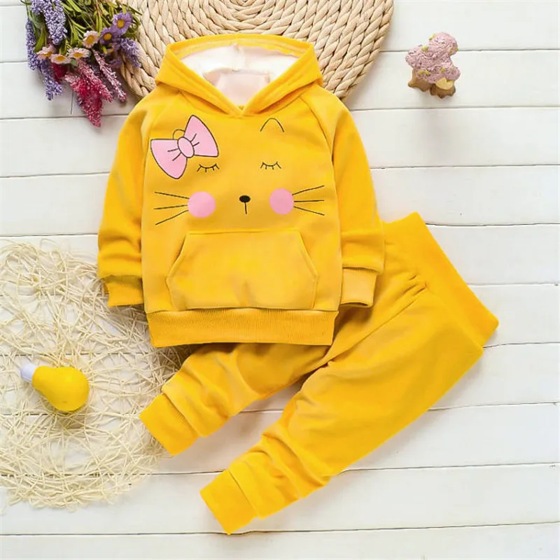 Girls Clothing Set Newborn Baby Girl Spring Autumn Tracksuit T-shirt + Pants 2PCS