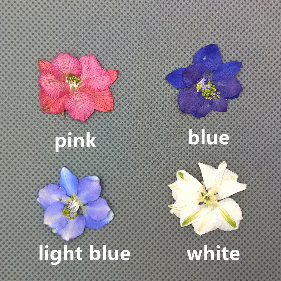 wp_20170225_18_02_15_pro_