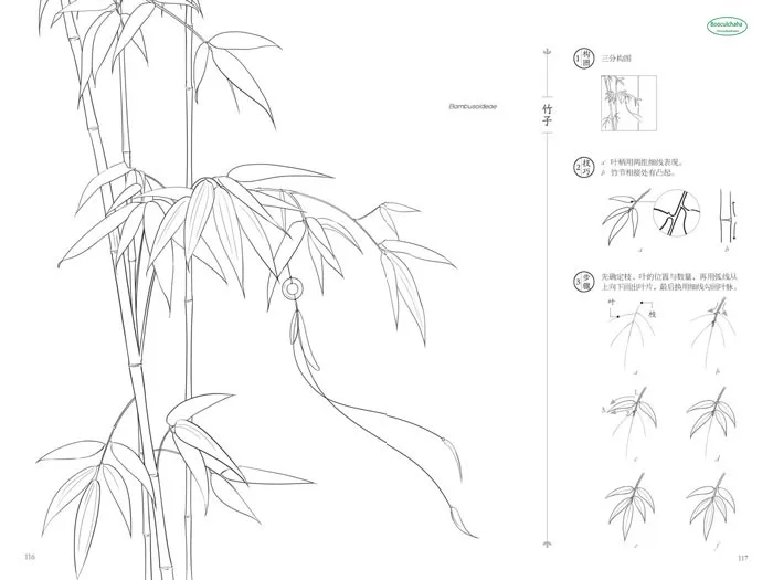 Livro Para Colorir Da Grama E Dos Desenhos Animados Das Flores Para  Crianças Ilustração do Vetor - Ilustração de jardim, desenho: 54050405