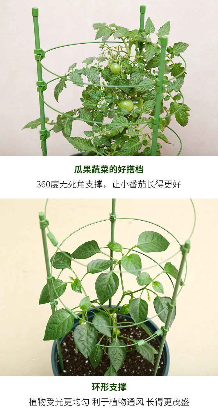 Водонепроницаемый антикоррозийный китайский цветок розы стойки Botany бассейна комнатных цветов и растений ветка распорка Садоводство подъем рамки