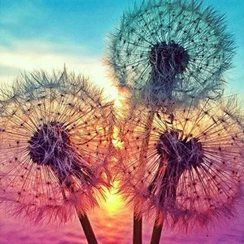 

Hot Selling Dandelion Diamond Painting 5D Handmade DIY Full of Crystals Textile Furnishings Living Room Decorative Painting Send