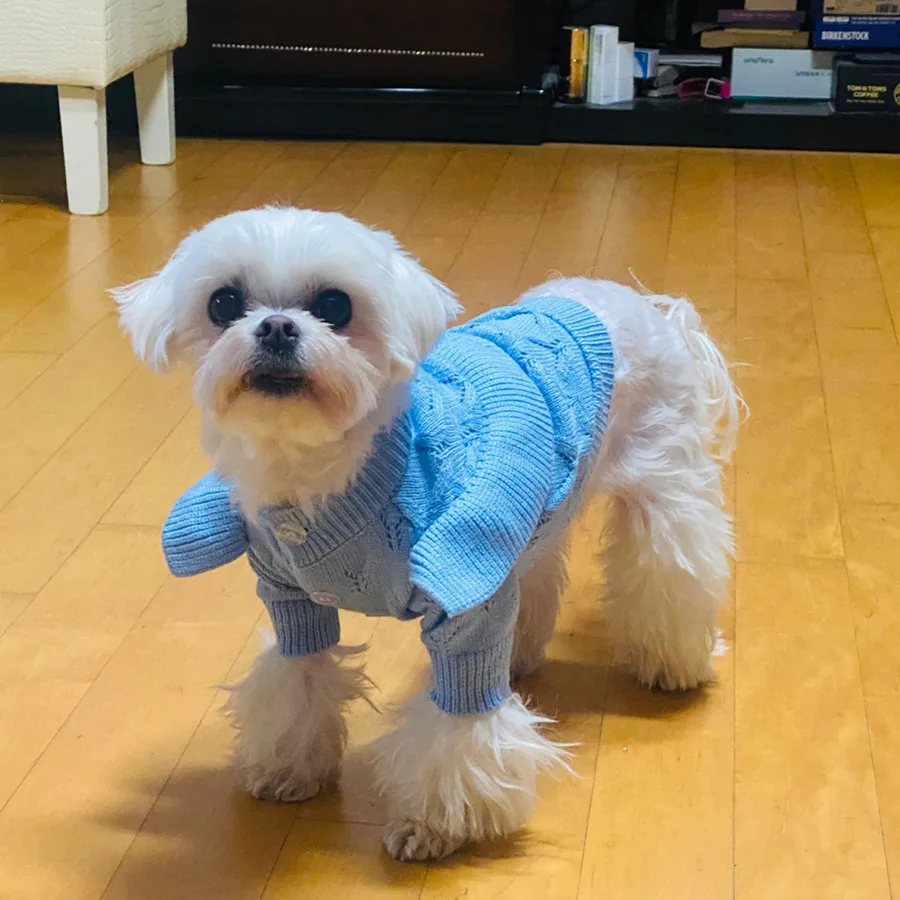 

Knit Dog Dress Winter Warm Clothes Pets Coats Cat Puppy Small Dogs Sweater Cardigan Apparel Pomeranian Shih Tzu Maltese Costumes
