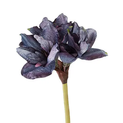 Blue-purple Сделай сам Проекты амариллис Кливия искусственный цветок украшение для гостиной цветы ретро цветные фотографии декоративные шелковые цветы - Цвет: Blue-purple