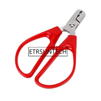 Cheap 100pcs Stainless Steel Nut Shell Opener Cracker Seed Pistachio Sheller Opener Peeling Pliers Home Kitchen Tool
