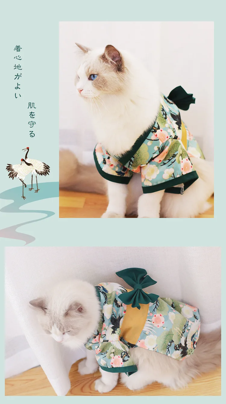 Animal de estimação japonês kimono gato cão