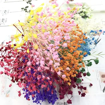 

Eternal Flower Baby's Breath Star DIY Material Bag Large White Star Handmade Glass Cover Bouquet Gift Box Car Pendant