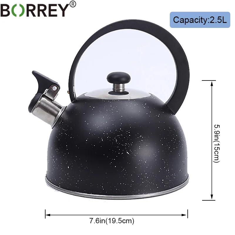 BORREY 2.5L чайник из нержавеющей стали со свистком Индукционная Плита Газовая плиты чайник Bouilloire Кемпинг домашний металлический чайник кастрюля для приготовления пищи