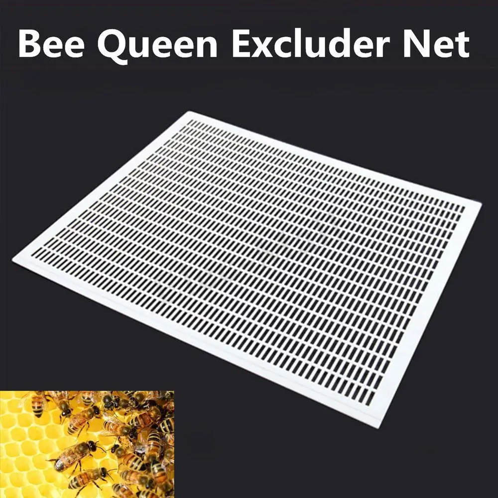 Для 10 рамок для пчеловодства, пчела, королева, эксклюзивная сетка, набор инструментов, пластиковая разделенная королевская доска, королевская доска