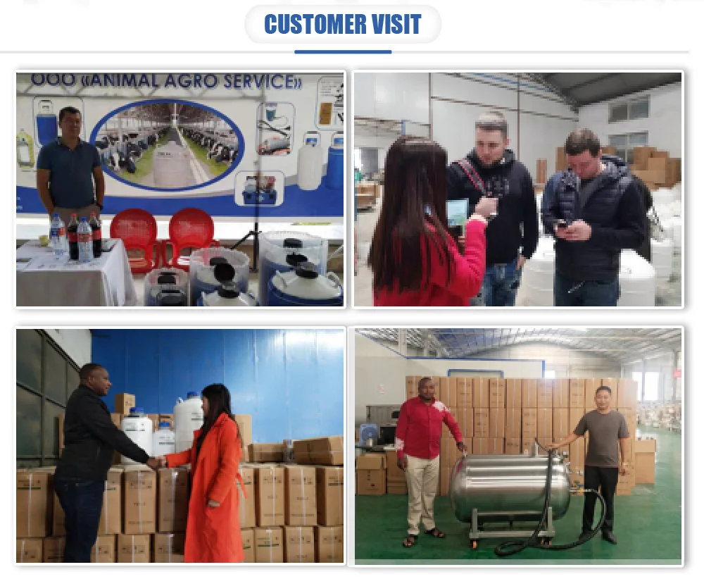 yds30125 container liquid nitrogen gas container 30liter semen tank price
