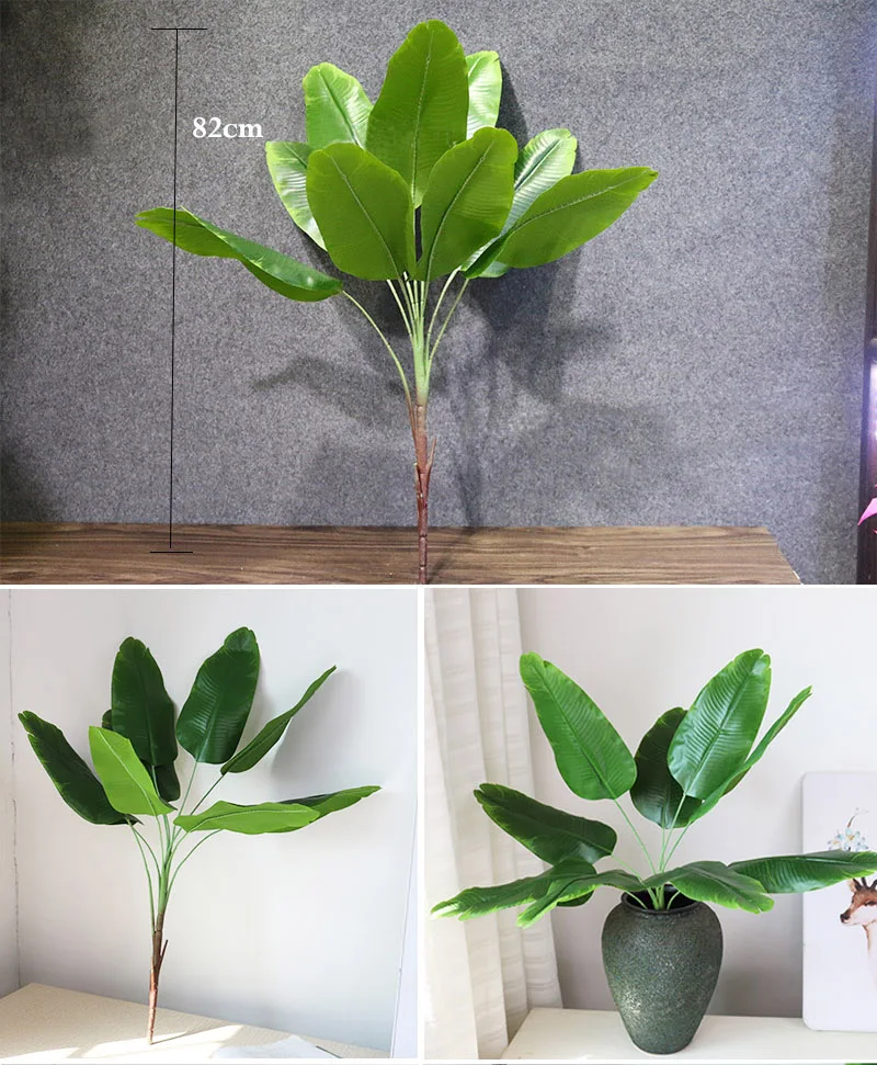 5芭蕉树