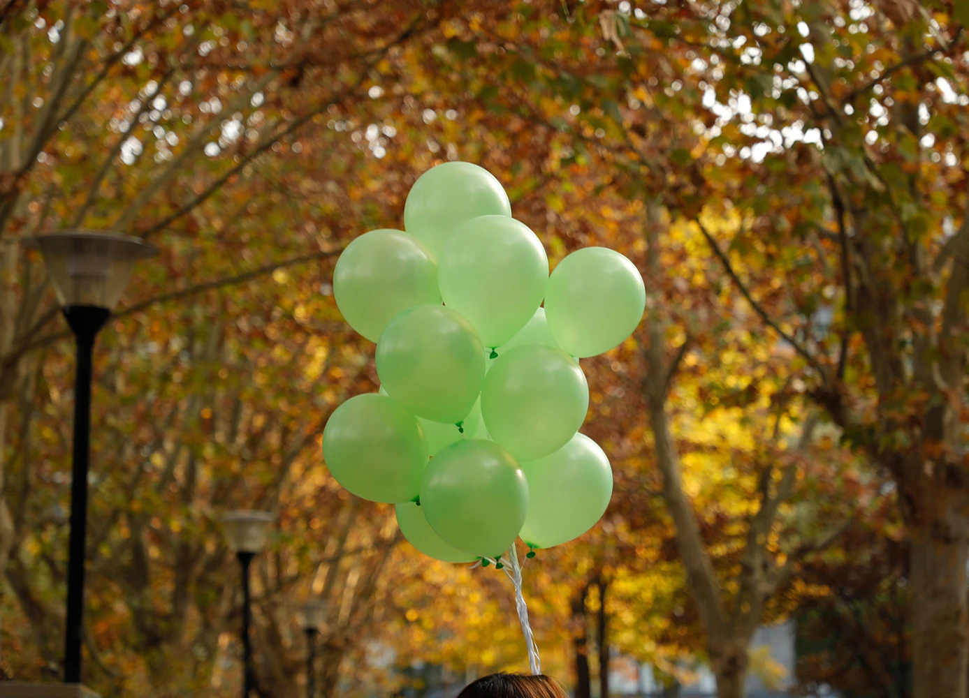 30 шт счастливый год Palloncino Verde Perlescente Пикник Neve Bambini Gioca Palloncini Per La Decorazione Domestica