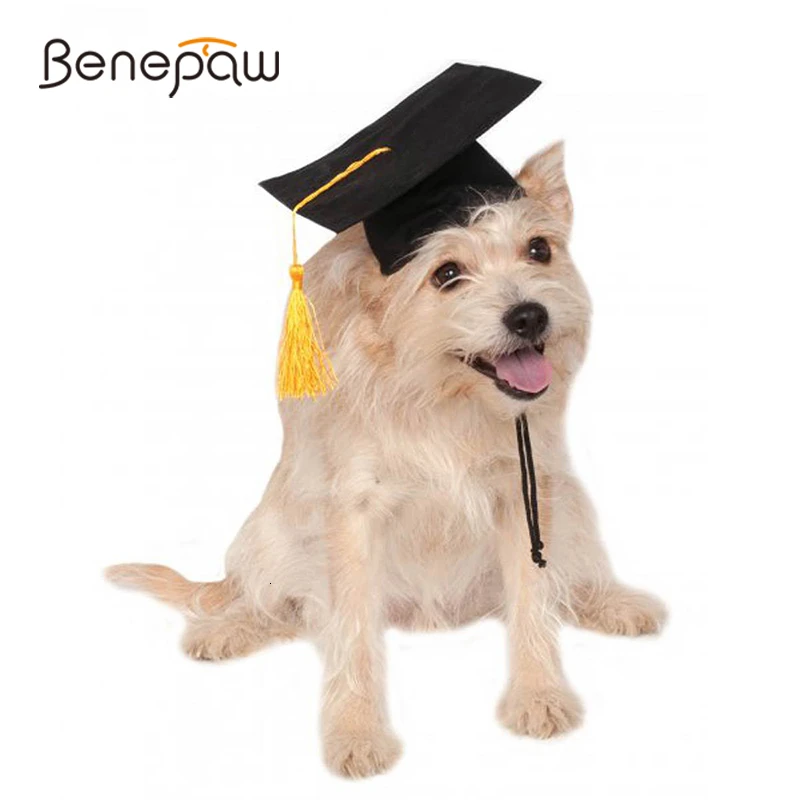 

Benepaw Black Dog Hat Graduation Yellow Tassel Academic Caps For Dogs Small Medium Party Cosplay Pet Costume Accessories