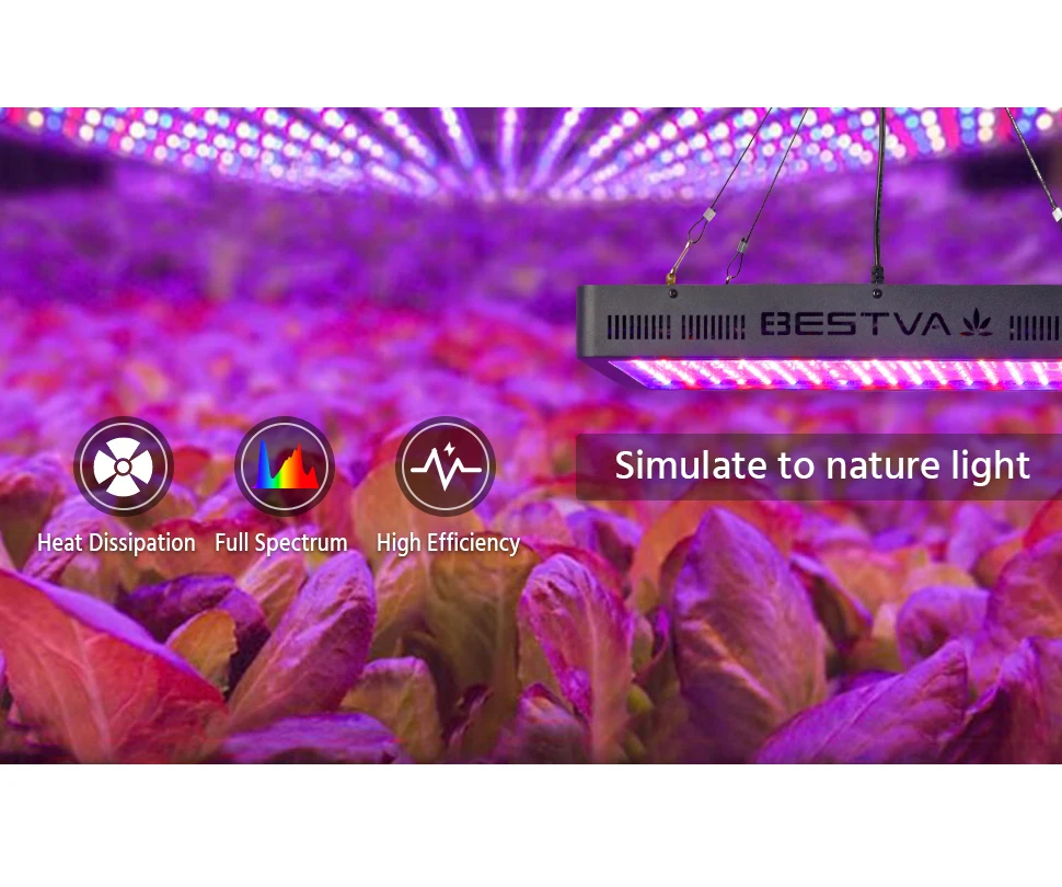 BestVA 300 Вт / 600 800 1000 1200 1500 1800 2000 Полный спектр лампа для растений светодиодная