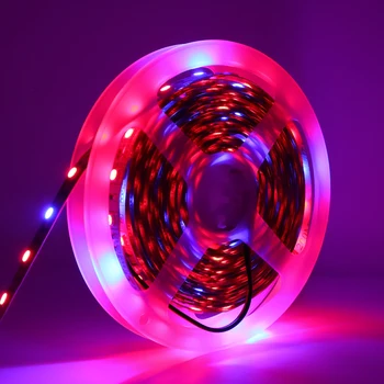 

12V Plant Grow Light LED Strip SMD 5050 Red:blue 3/4/5:1 Full Spectrum For Greenhouse Hydroponic Plant Growing