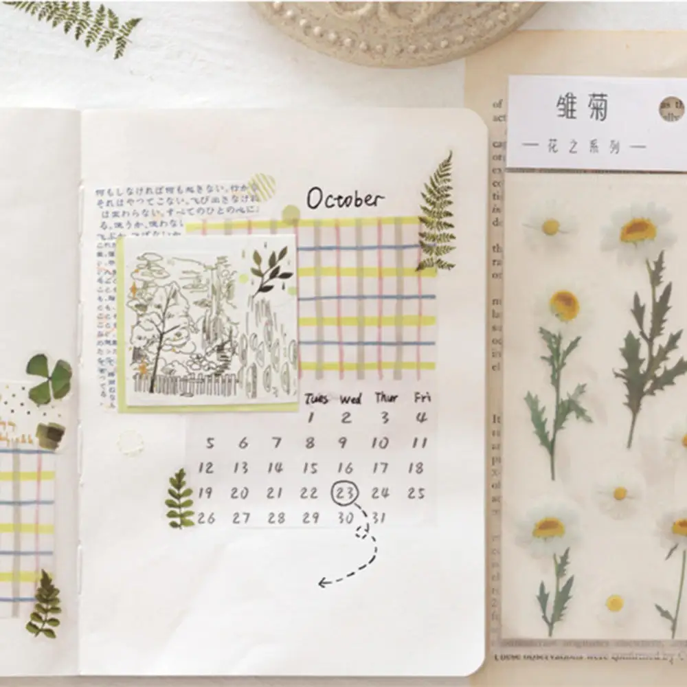 1 лист натуральных листьев цветов серия образцов декоративные полупрозрачные