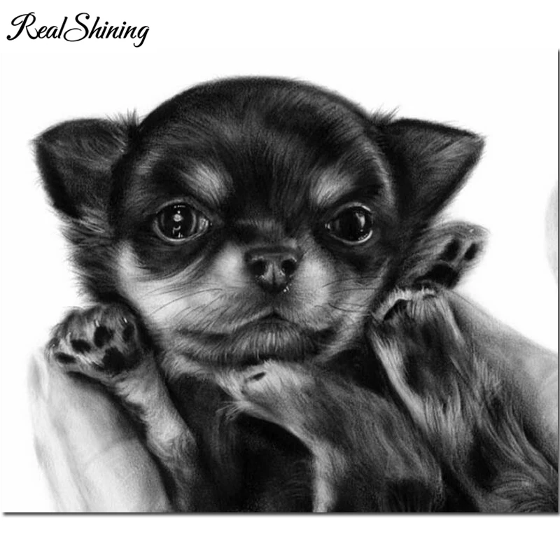 QQ截图20190822135345999