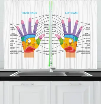 

Multicolor Educational Kitchen Curtains Printed Colorful Hand Reflexology Chart Showing Correspondence Body Parts for Kitchen