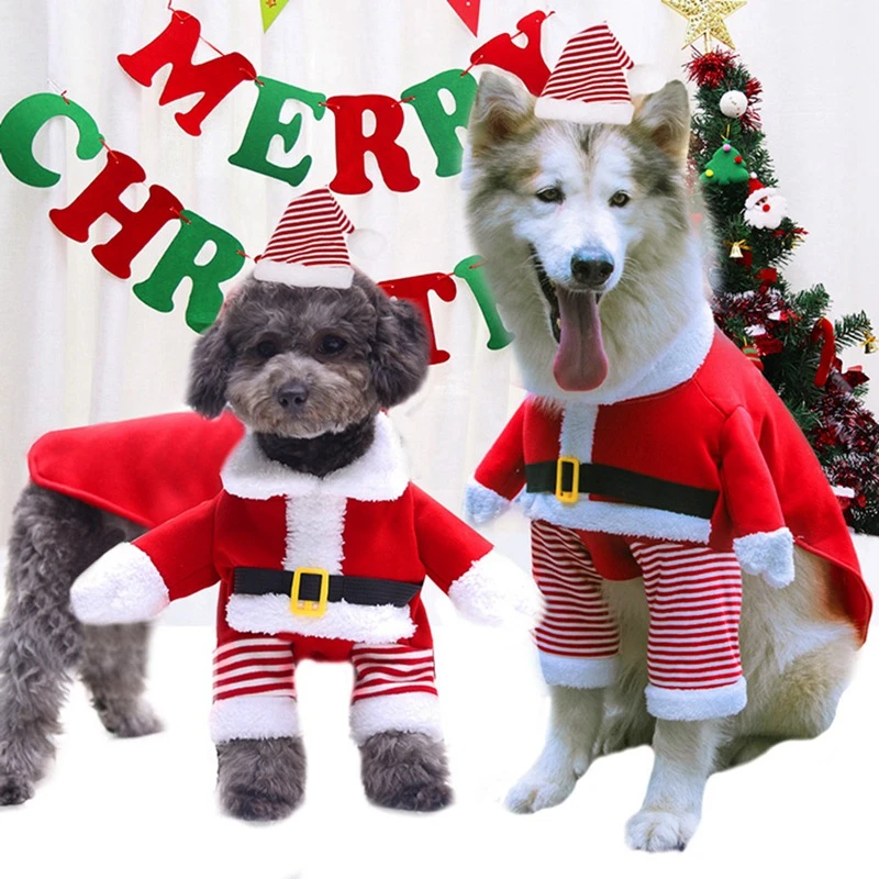 christmas dog coats