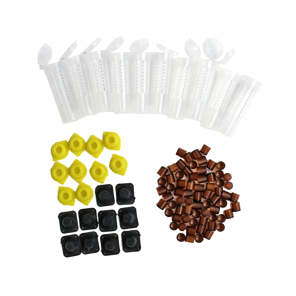 1 компл. Пчеловодство Rearing Cup Kit Защитная крышка набор королева пчела Клетки Оборудование для пчеловодов инструменты