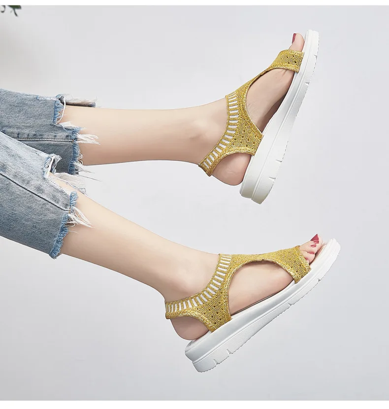 11262411583_1358822897