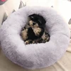 Pet Products