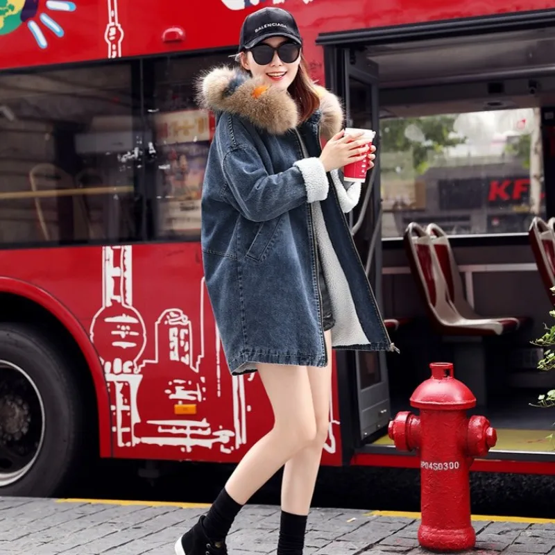 conew_4950642679_1313518034_conew1