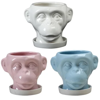 

3pcs Modern Creative Lovely Plants Pots Cactus Planters for Office