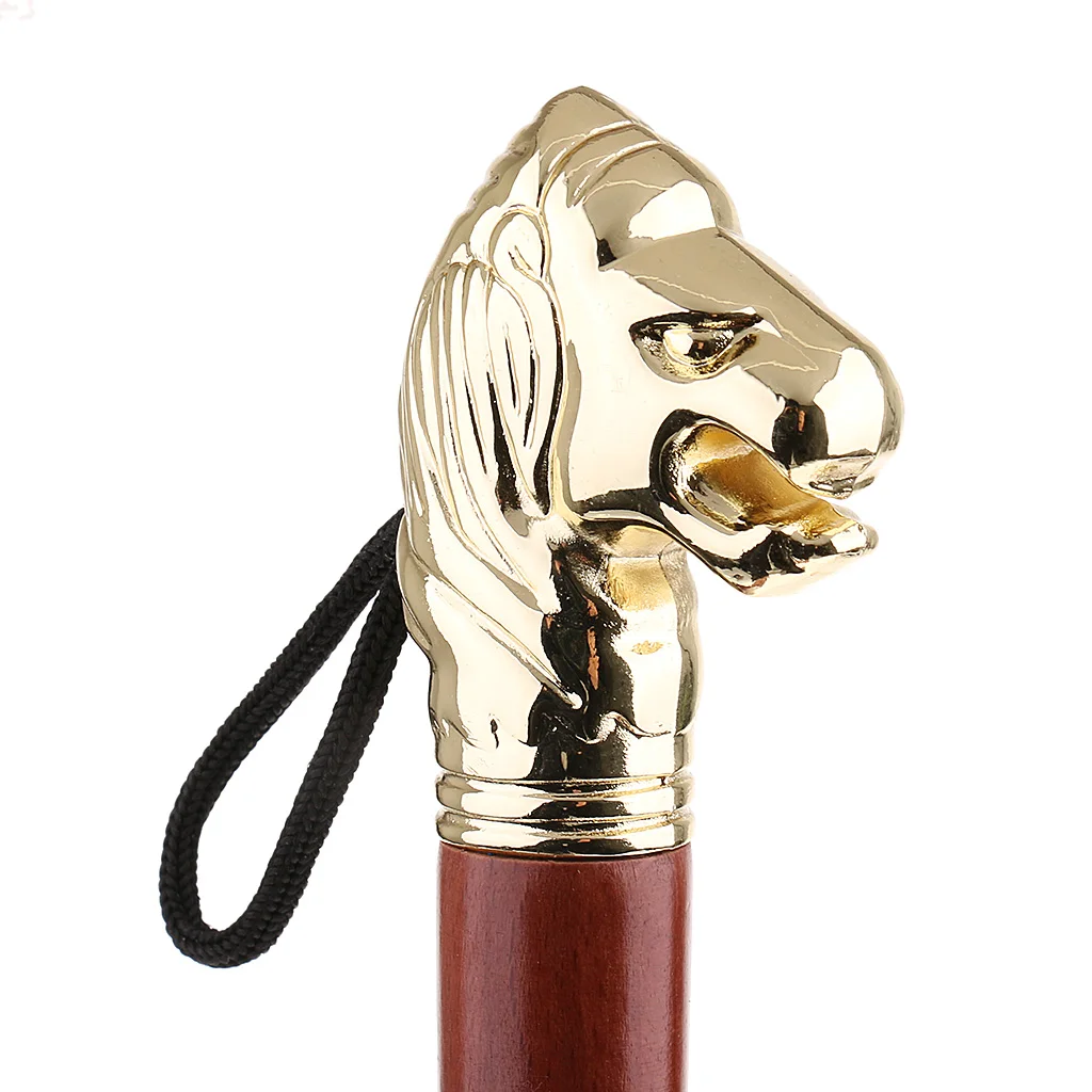 Gold Color Lion Head Long Handle Shoe Horn Home Shoehorn Wooden Durable Lightweight Shoes Guide 58cm Gold Color Lion Head Long Handle Shoe Horn Home Shoehorn Wooden Durable Lightweight Shoes Guide 58cm