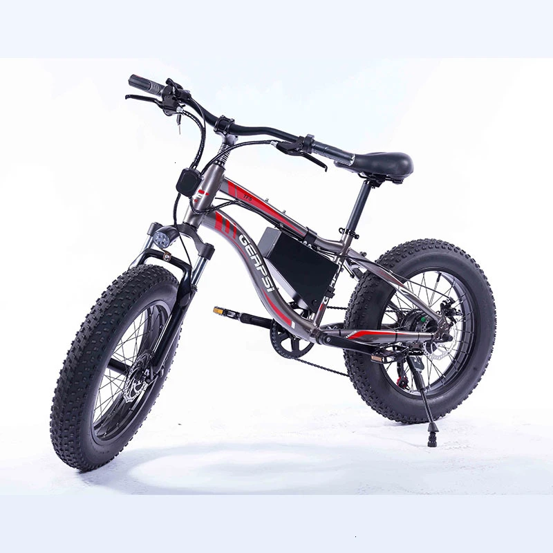 

2019 top seller 36V 350W motor 10AH mini electric 20 inch mountain bike Beach Cruiser E-Bike for adult
