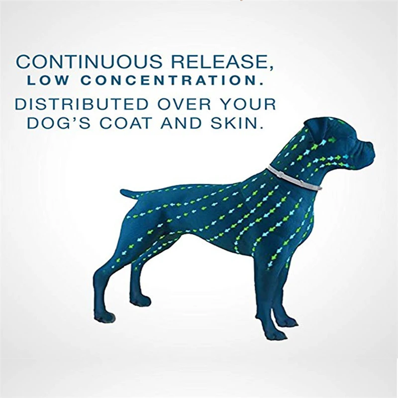 10875247551_906868034