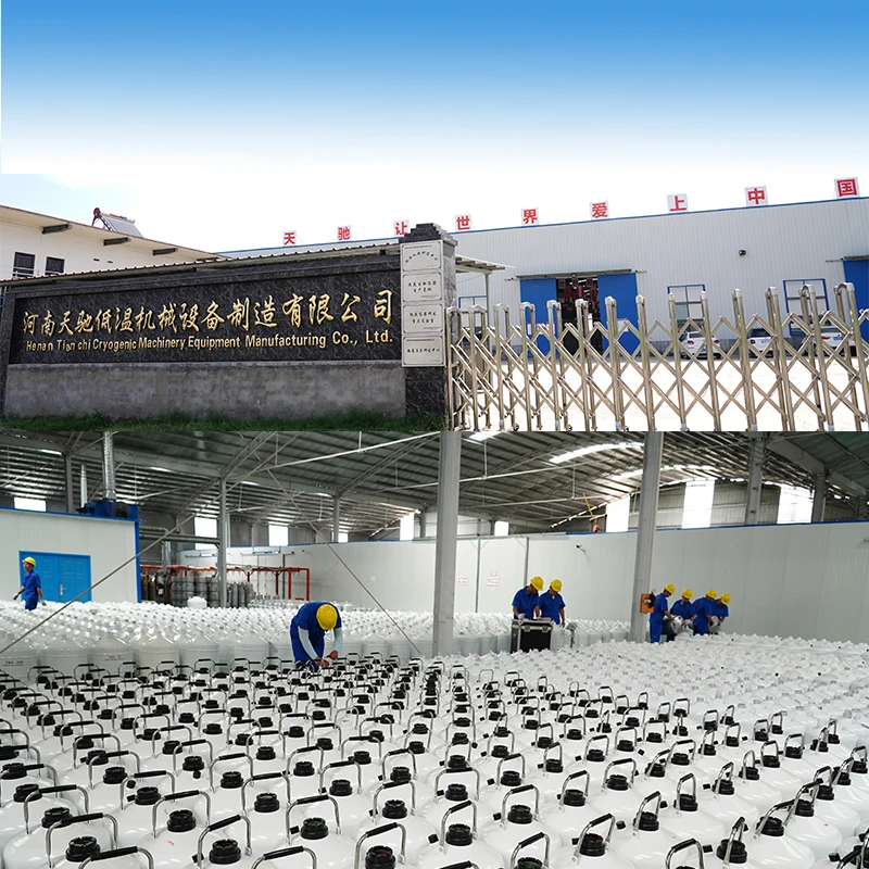 Портативный LN2 хранения дьюарс YDS 6 криогенная контейнер 6L с ремешками