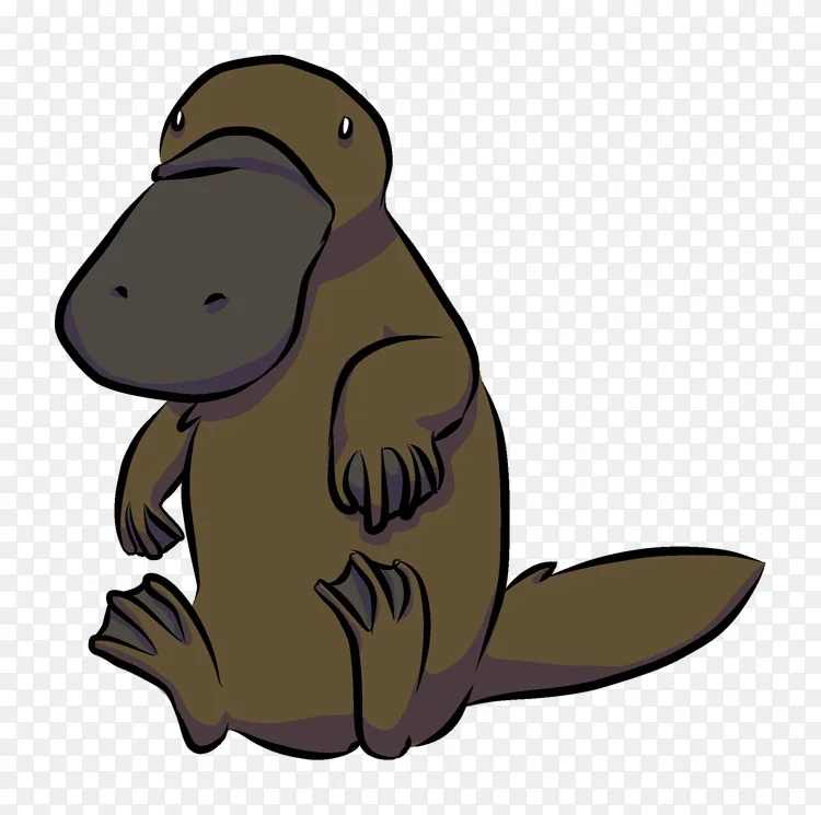 鸭嘴兽海狸动物卡通画 结婚卡png图片素材免费下载 图片编号 Png素材网
